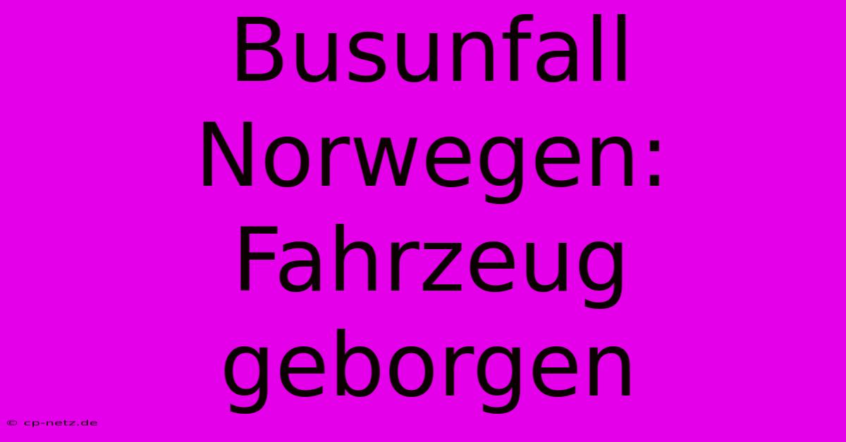 Busunfall Norwegen: Fahrzeug Geborgen