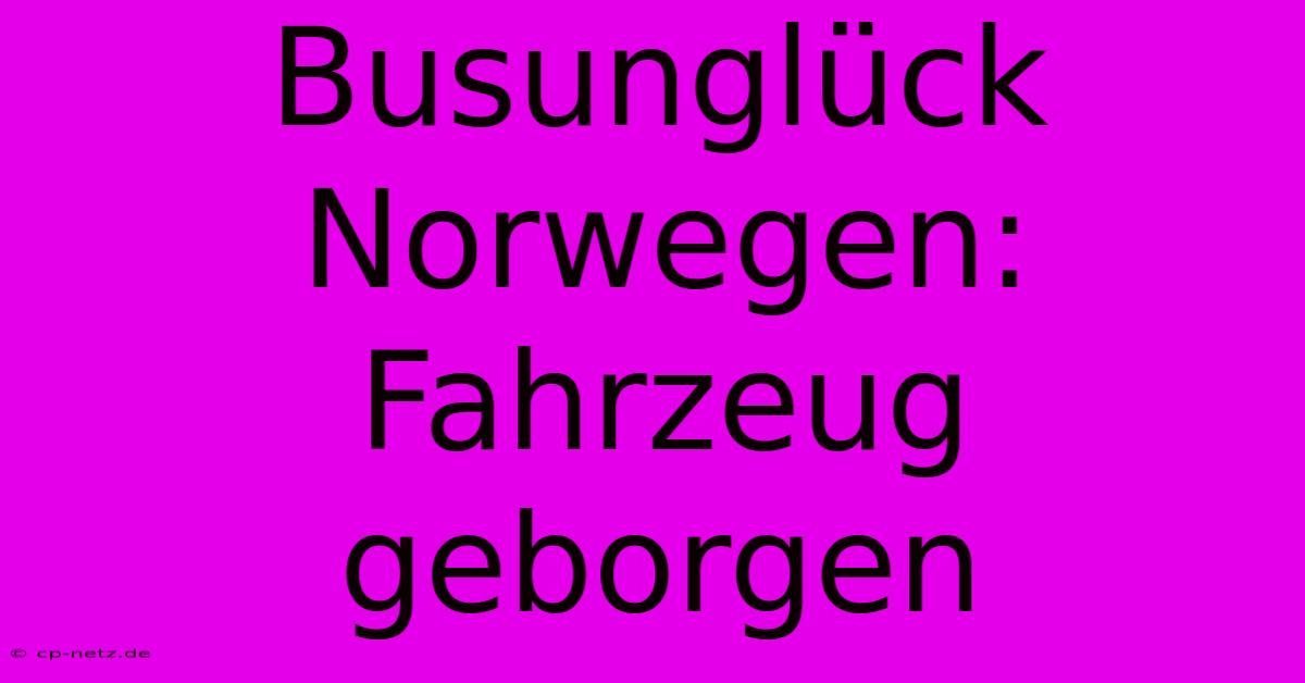 Busunglück Norwegen: Fahrzeug Geborgen