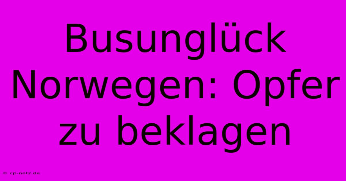 Busunglück Norwegen: Opfer Zu Beklagen