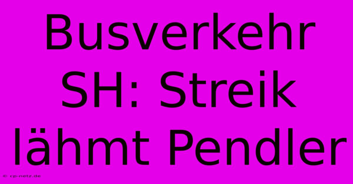 Busverkehr SH: Streik Lähmt Pendler