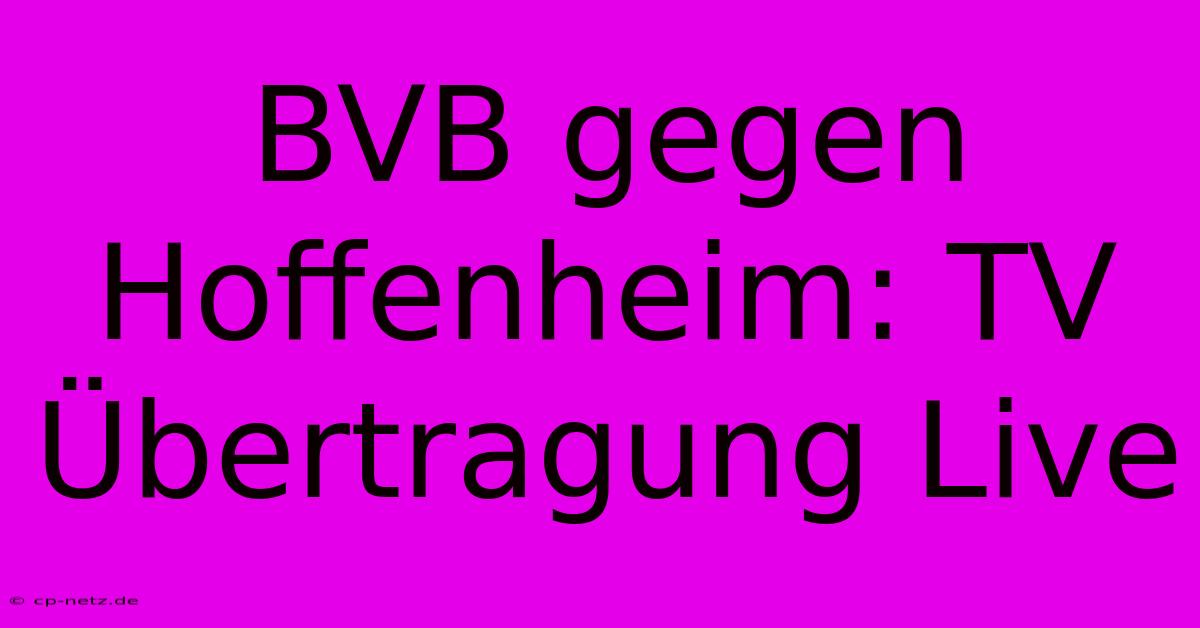 BVB Gegen Hoffenheim: TV Übertragung Live