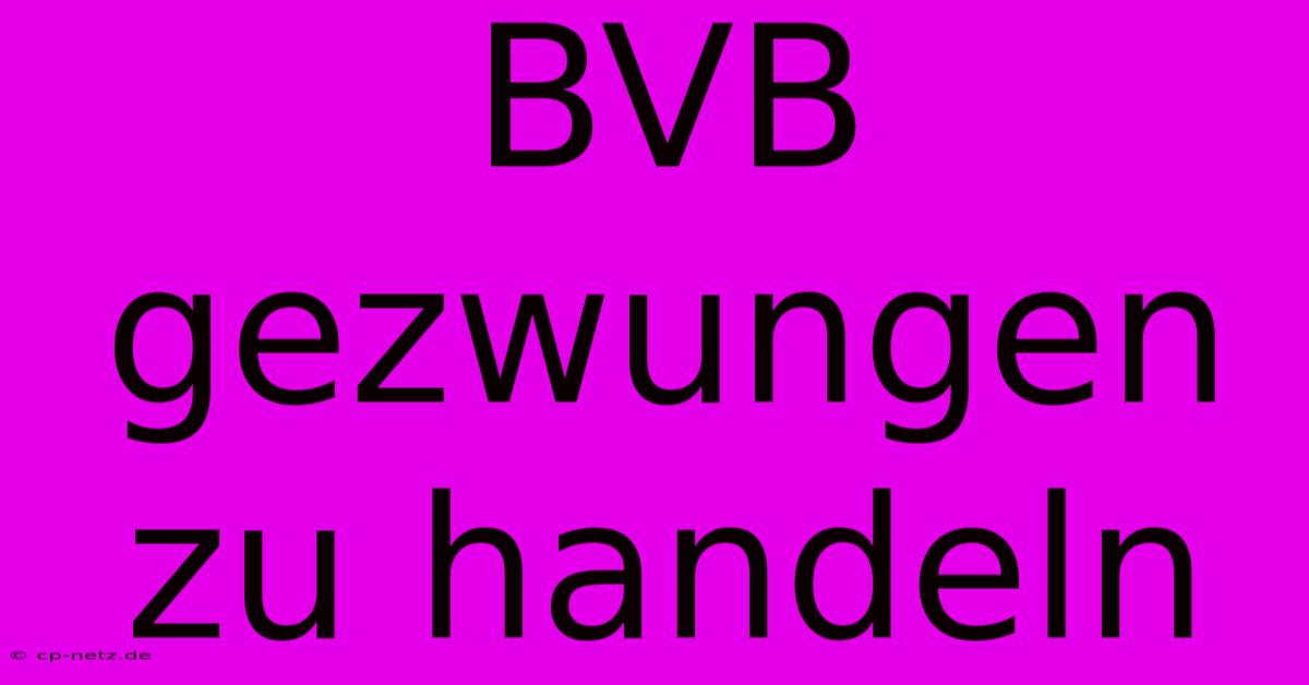 BVB Gezwungen Zu Handeln