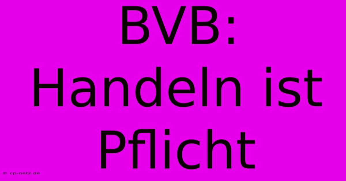 BVB: Handeln Ist Pflicht