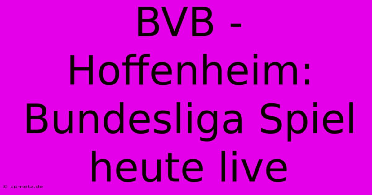 BVB - Hoffenheim: Bundesliga Spiel Heute Live