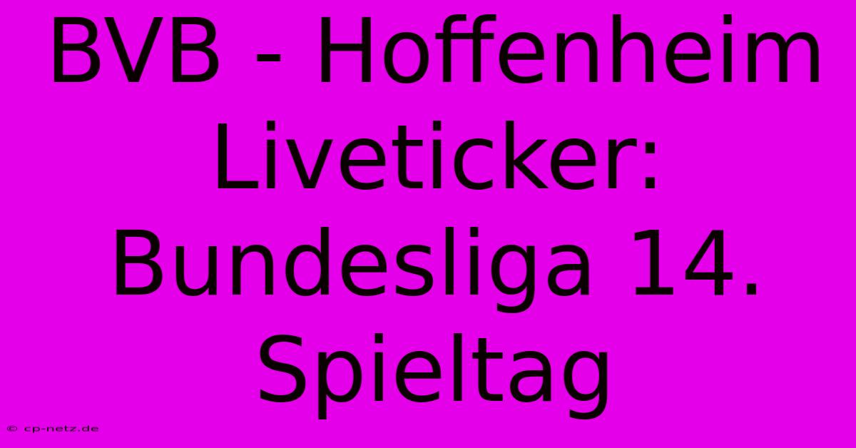 BVB - Hoffenheim Liveticker: Bundesliga 14. Spieltag