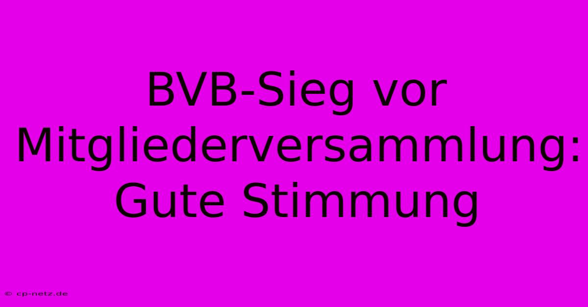 BVB-Sieg Vor Mitgliederversammlung:  Gute Stimmung