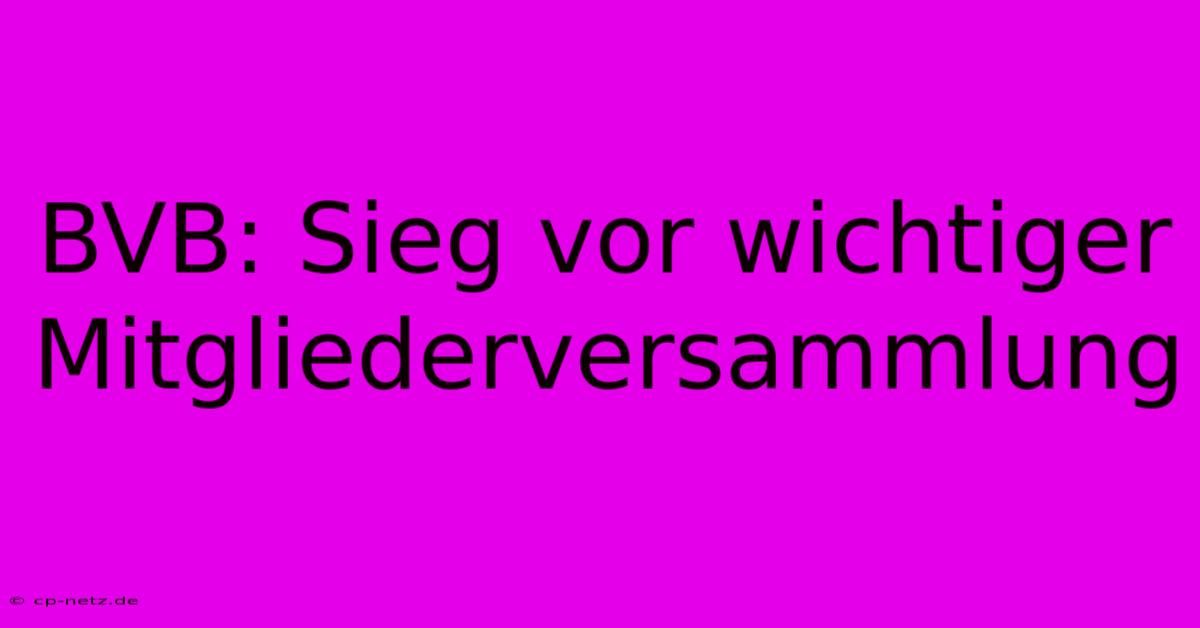 BVB: Sieg Vor Wichtiger Mitgliederversammlung