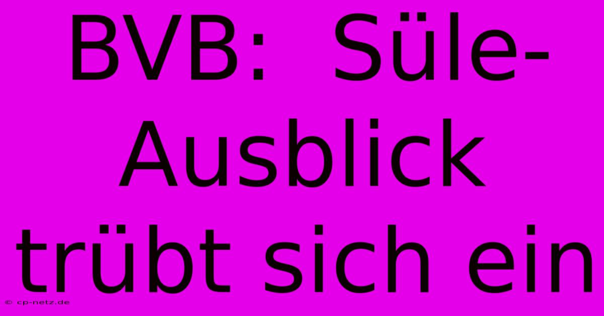 BVB:  Süle-Ausblick Trübt Sich Ein