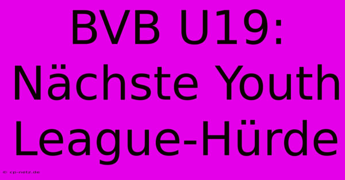 BVB U19:  Nächste Youth League-Hürde