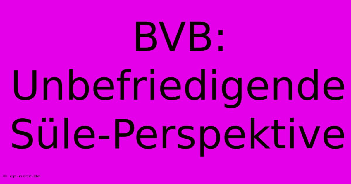 BVB: Unbefriedigende Süle-Perspektive