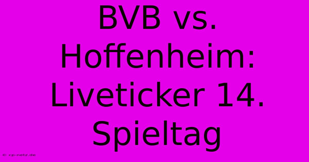 BVB Vs. Hoffenheim: Liveticker 14. Spieltag