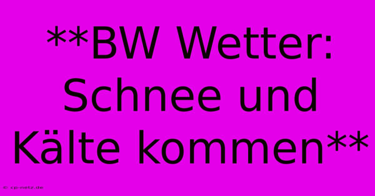 **BW Wetter: Schnee Und Kälte Kommen**