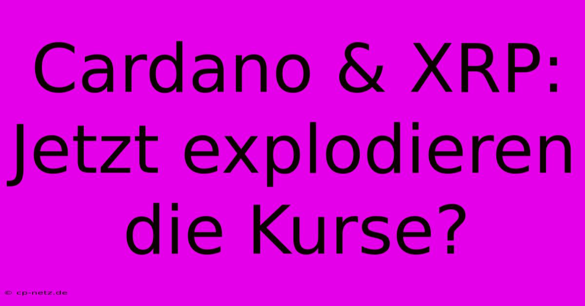 Cardano & XRP:  Jetzt Explodieren Die Kurse?