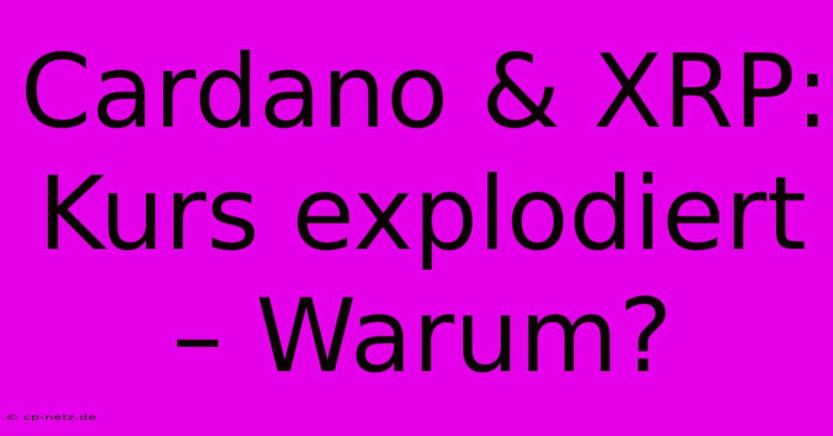 Cardano & XRP: Kurs Explodiert – Warum?