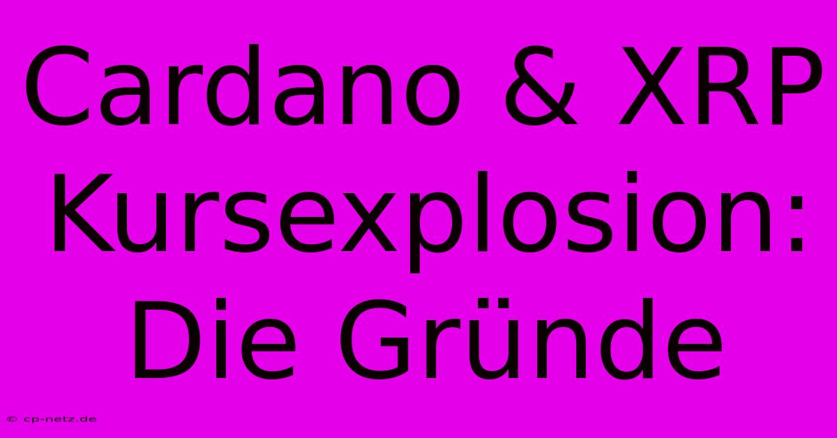 Cardano & XRP Kursexplosion: Die Gründe