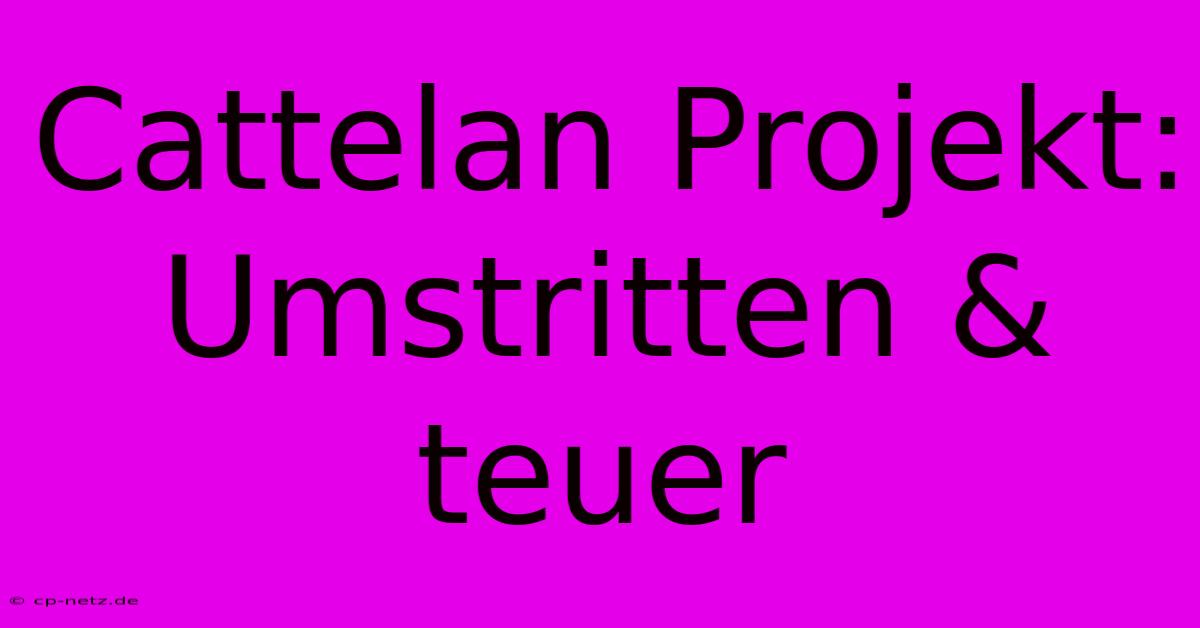 Cattelan Projekt: Umstritten & Teuer