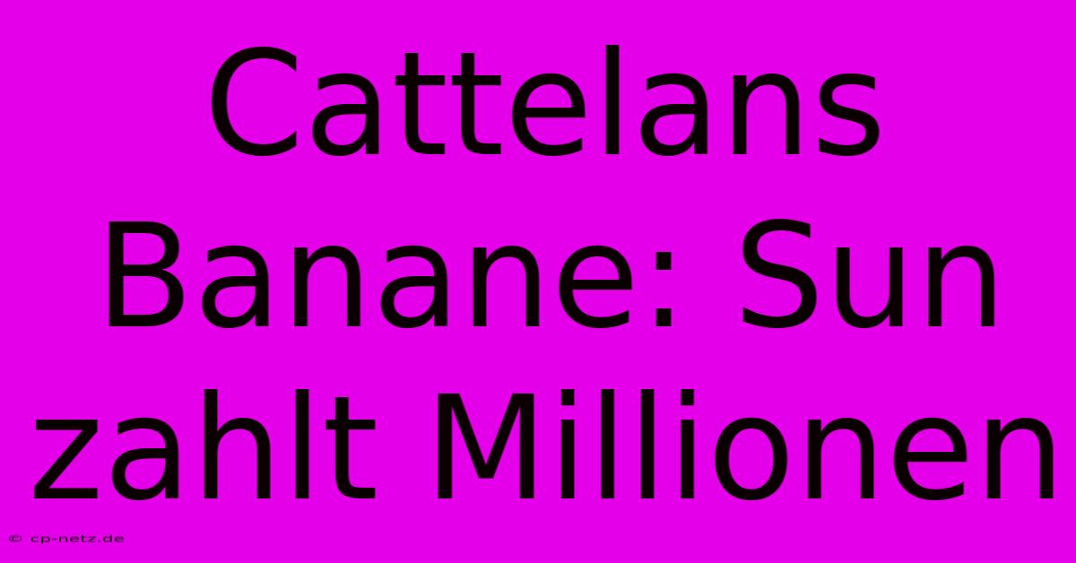 Cattelans Banane: Sun Zahlt Millionen