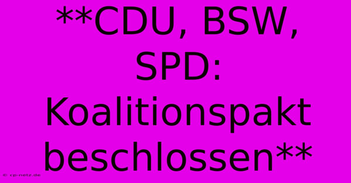 **CDU, BSW, SPD:  Koalitionspakt Beschlossen**