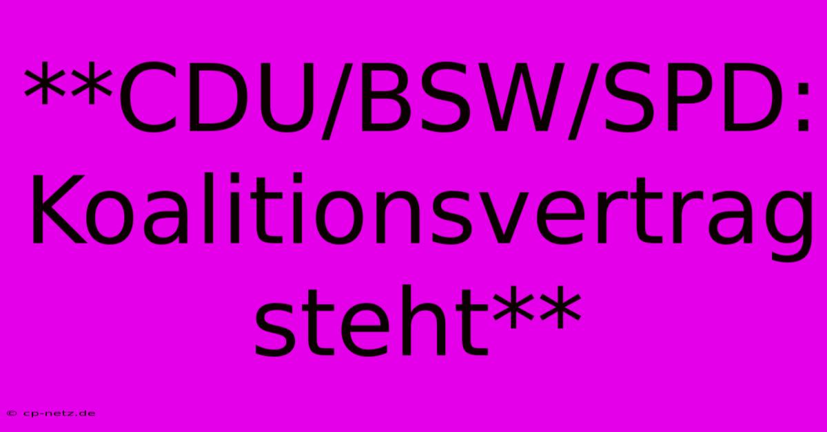 **CDU/BSW/SPD: Koalitionsvertrag Steht**