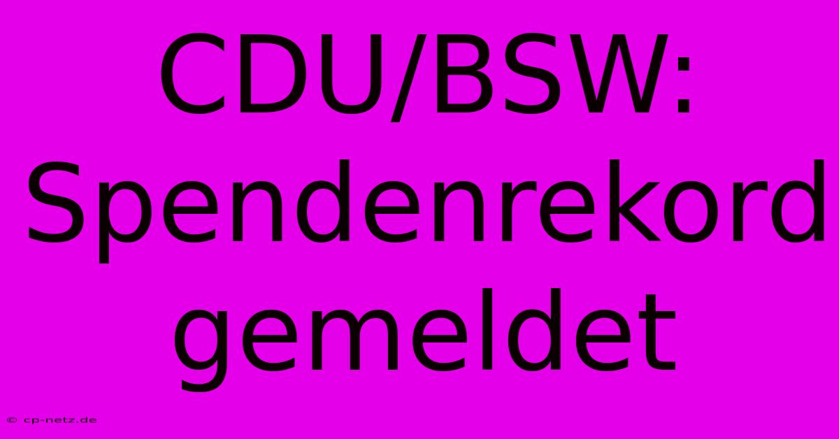 CDU/BSW: Spendenrekord Gemeldet