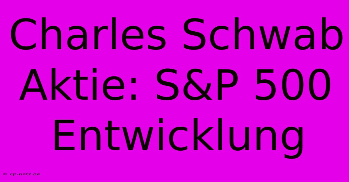 Charles Schwab Aktie: S&P 500 Entwicklung