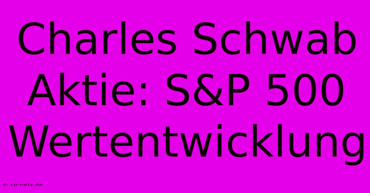 Charles Schwab Aktie: S&P 500 Wertentwicklung