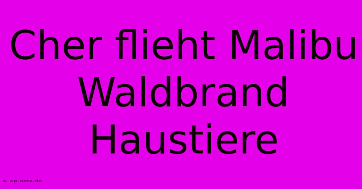 Cher Flieht Malibu Waldbrand Haustiere