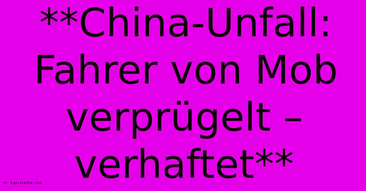 **China-Unfall: Fahrer Von Mob Verprügelt – Verhaftet**