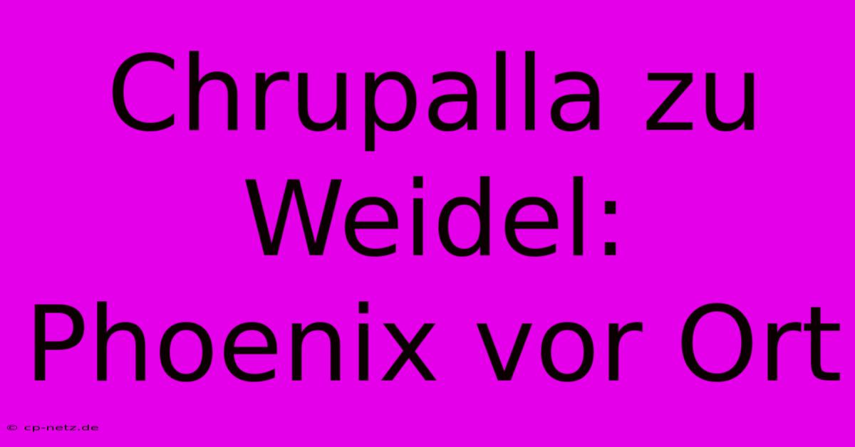 Chrupalla Zu Weidel: Phoenix Vor Ort