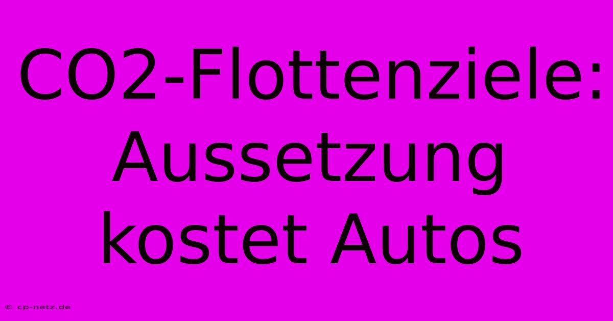 CO2-Flottenziele: Aussetzung Kostet Autos