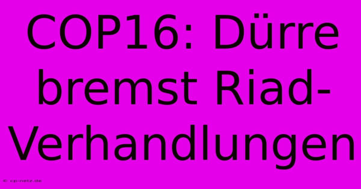 COP16: Dürre Bremst Riad-Verhandlungen