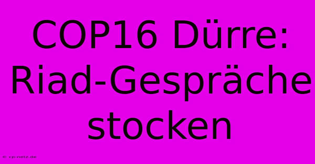 COP16 Dürre: Riad-Gespräche Stocken