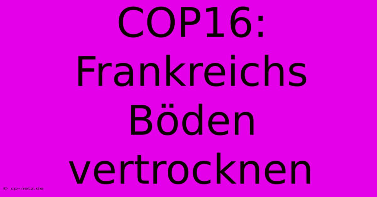 COP16: Frankreichs Böden Vertrocknen