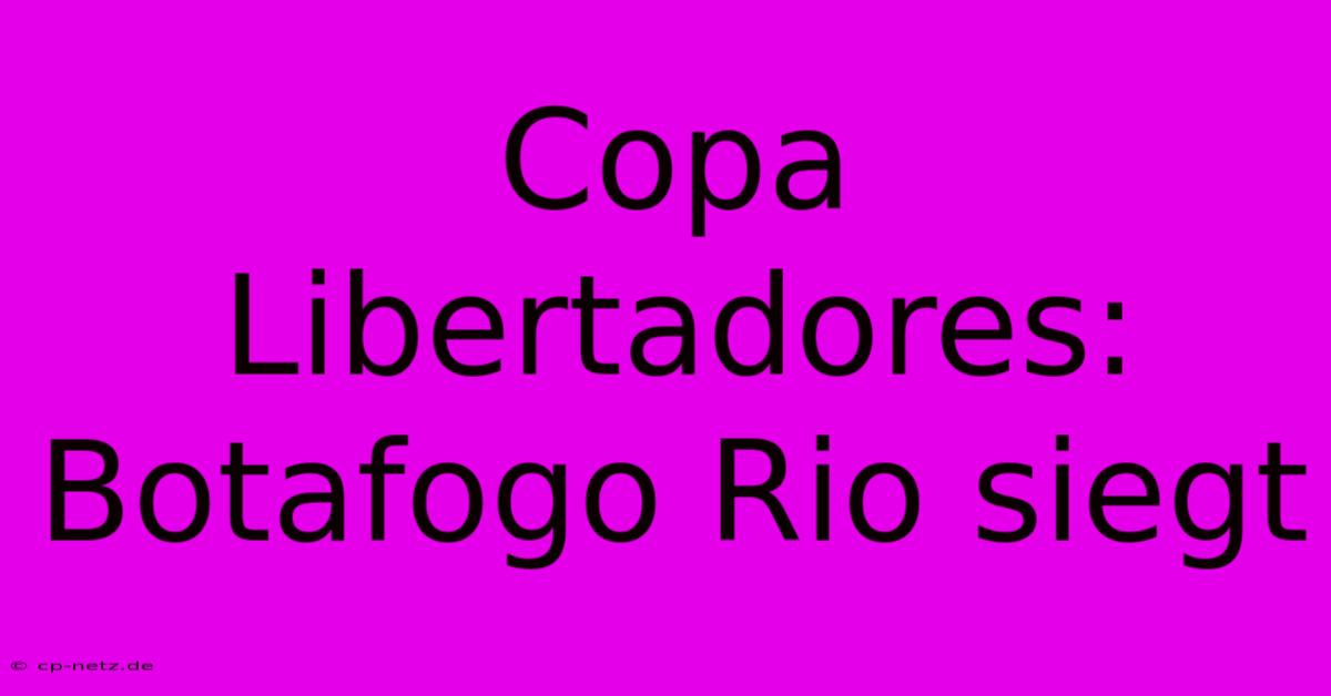 Copa Libertadores: Botafogo Rio Siegt