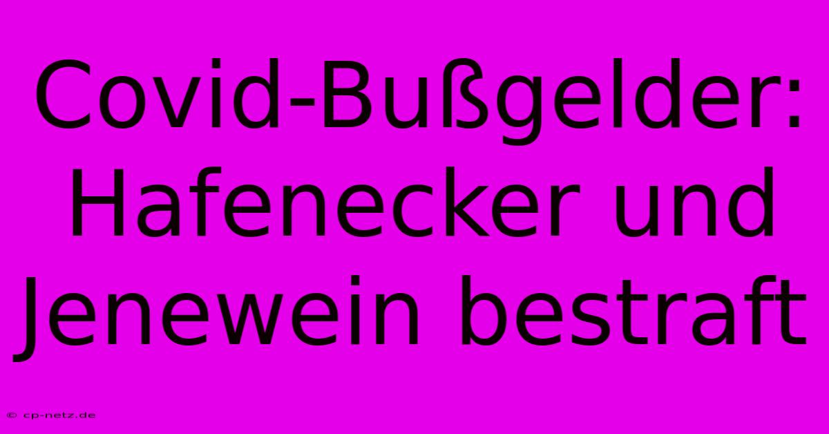 Covid-Bußgelder: Hafenecker Und Jenewein Bestraft