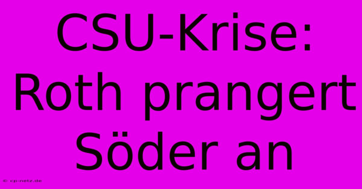 CSU-Krise: Roth Prangert Söder An