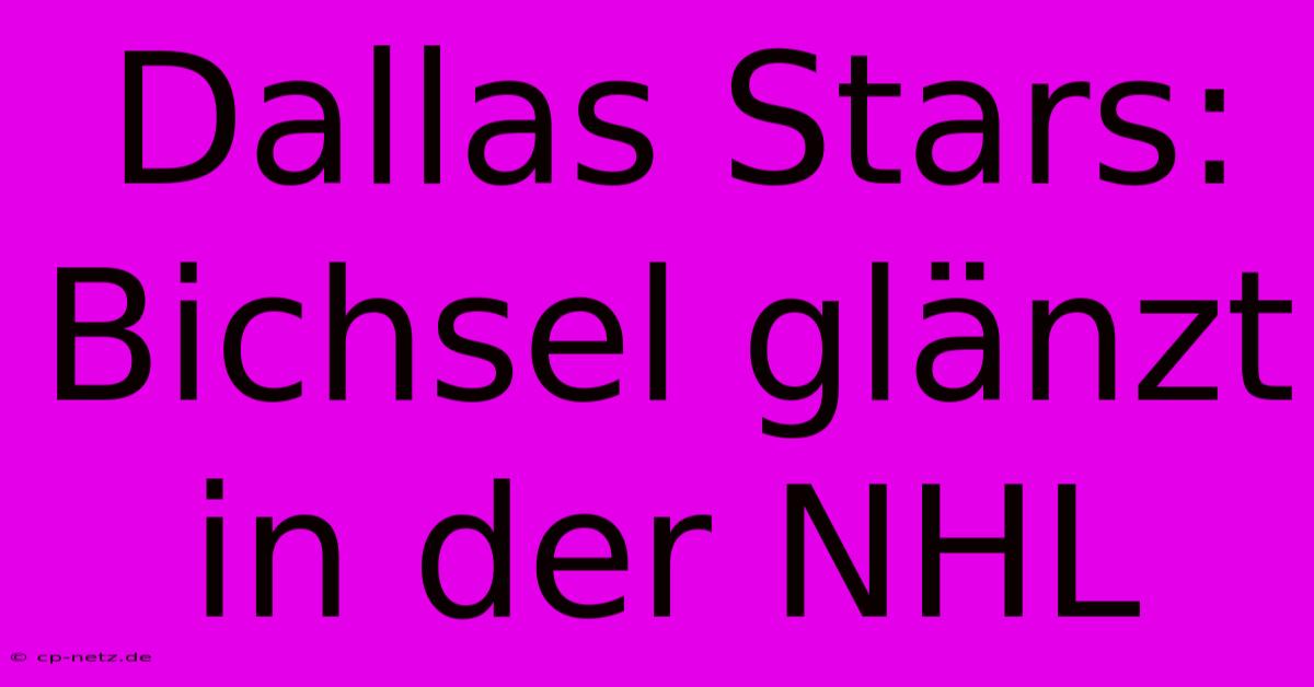 Dallas Stars: Bichsel Glänzt In Der NHL