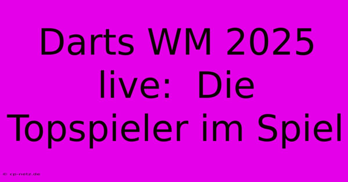 Darts WM 2025 Live:  Die Topspieler Im Spiel