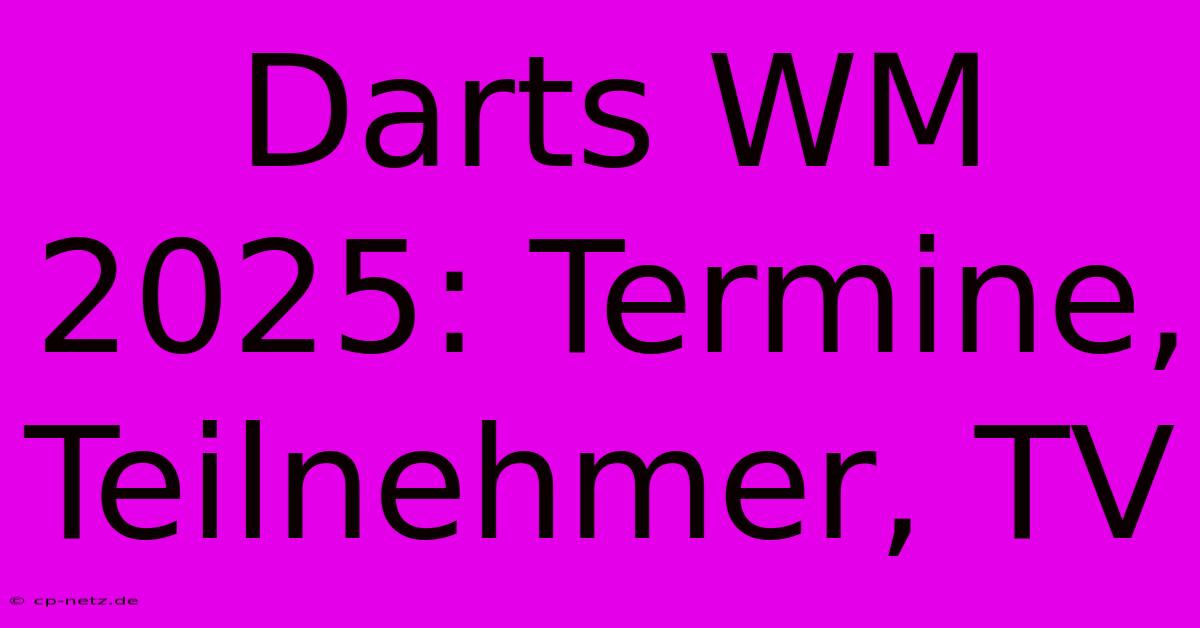 Darts WM 2025: Termine, Teilnehmer, TV