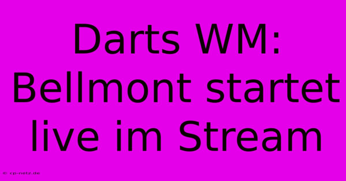 Darts WM: Bellmont Startet Live Im Stream