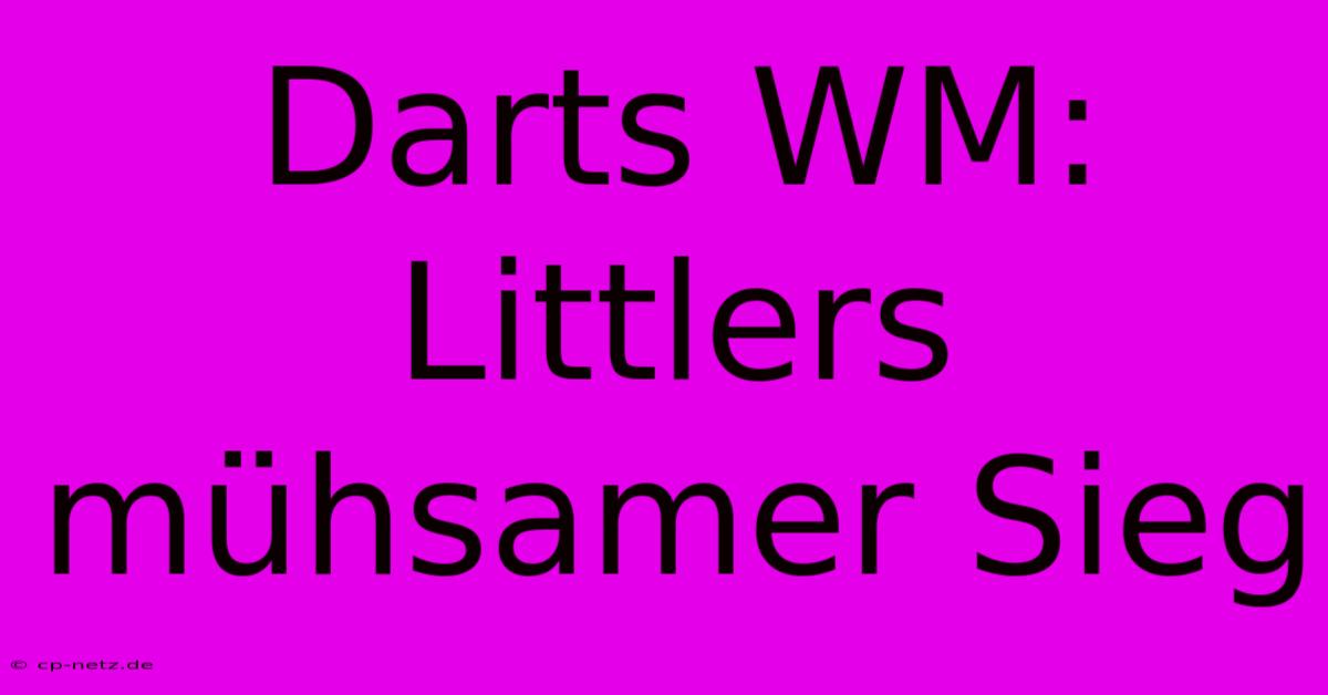 Darts WM:  Littlers Mühsamer Sieg