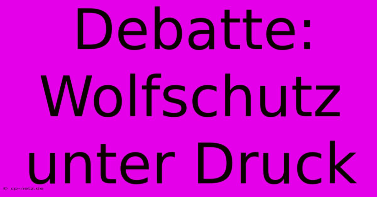 Debatte: Wolfschutz Unter Druck