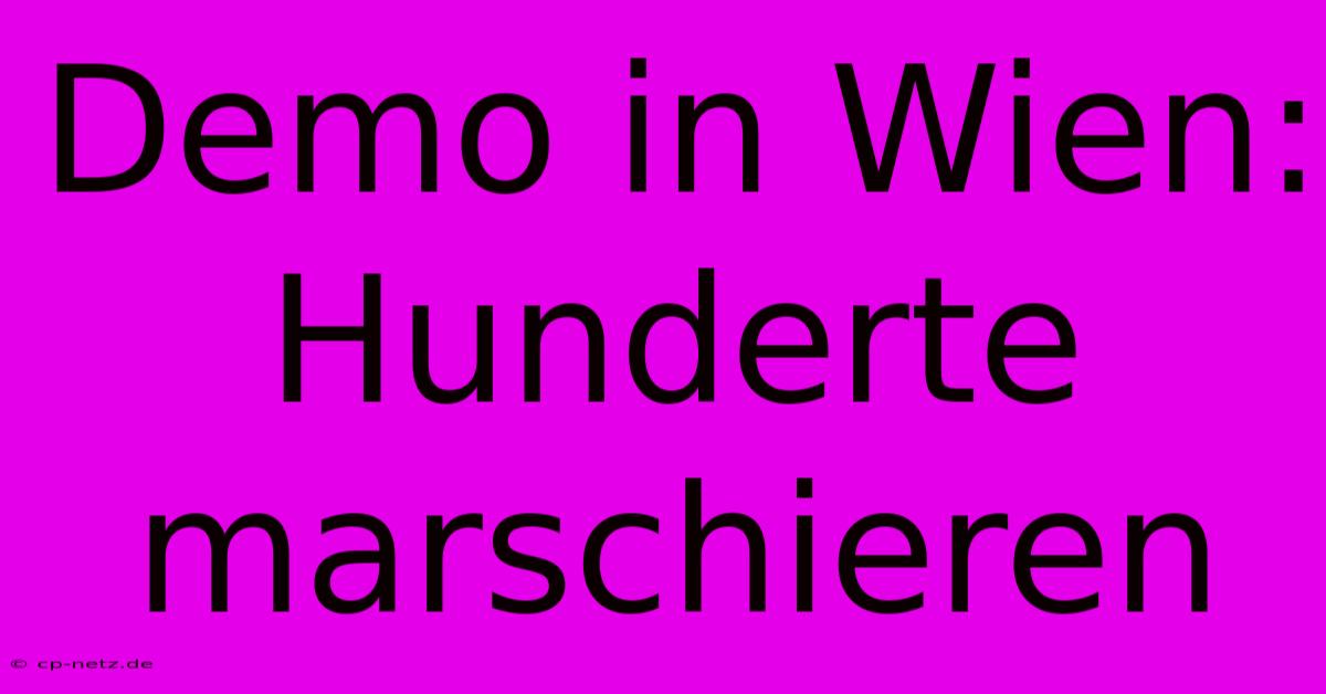 Demo In Wien: Hunderte Marschieren