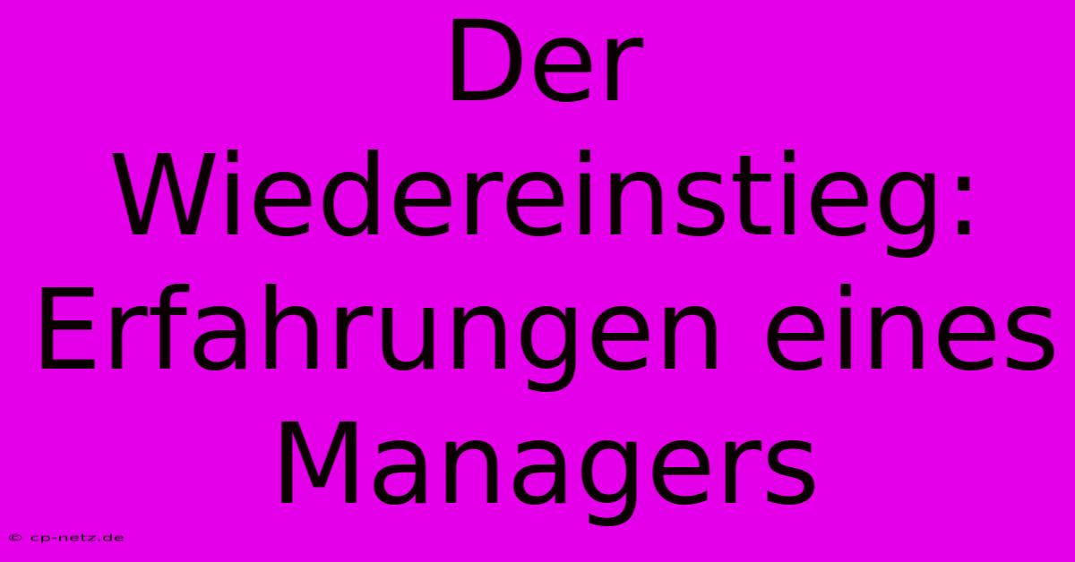 Der Wiedereinstieg:  Erfahrungen Eines Managers