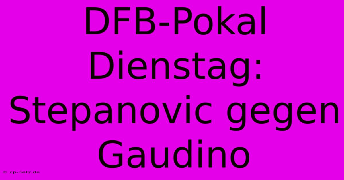 DFB-Pokal Dienstag: Stepanovic Gegen Gaudino