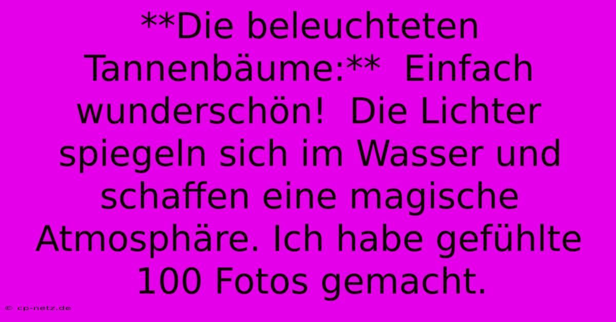 **Die Beleuchteten Tannenbäume:**  Einfach Wunderschön!  Die Lichter Spiegeln Sich Im Wasser Und Schaffen Eine Magische Atmosphäre. Ich Habe Gefühlte 100 Fotos Gemacht.