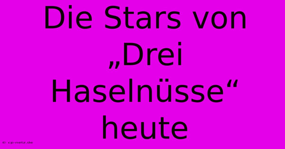 Die Stars Von „Drei Haselnüsse“ Heute