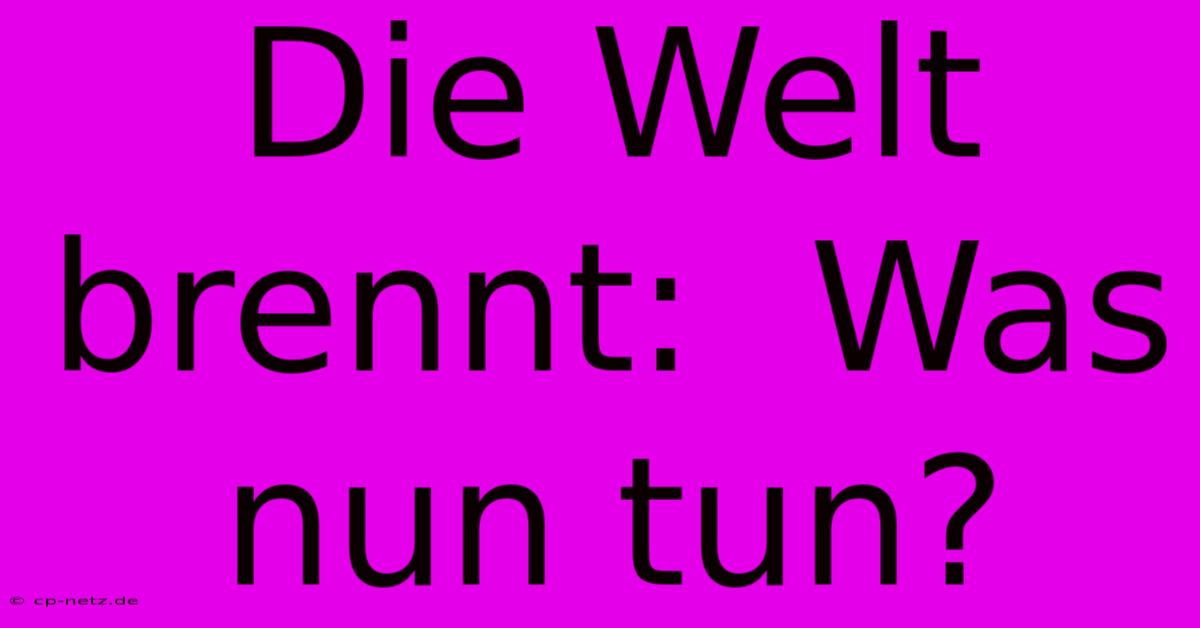 Die Welt Brennt:  Was Nun Tun?