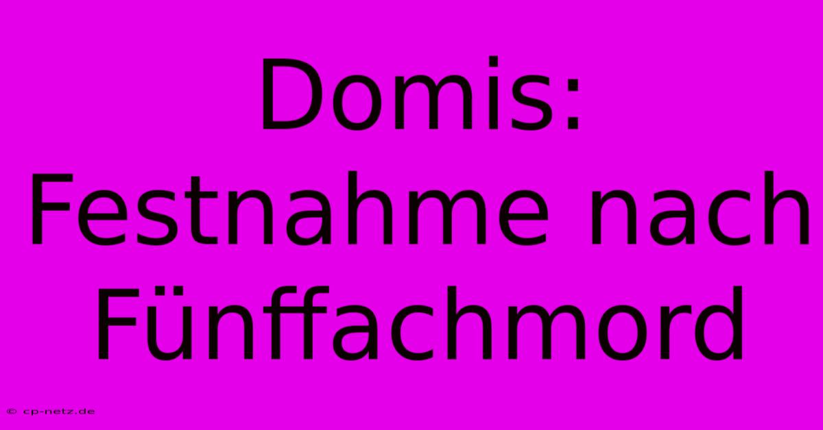 Domis: Festnahme Nach Fünffachmord