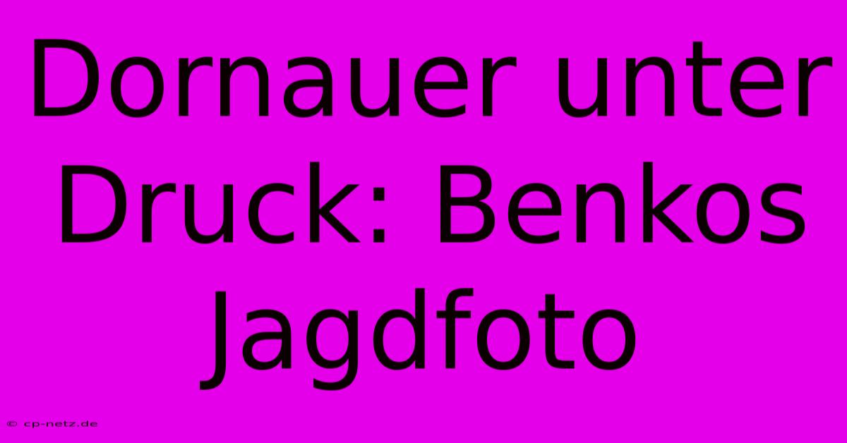 Dornauer Unter Druck: Benkos Jagdfoto